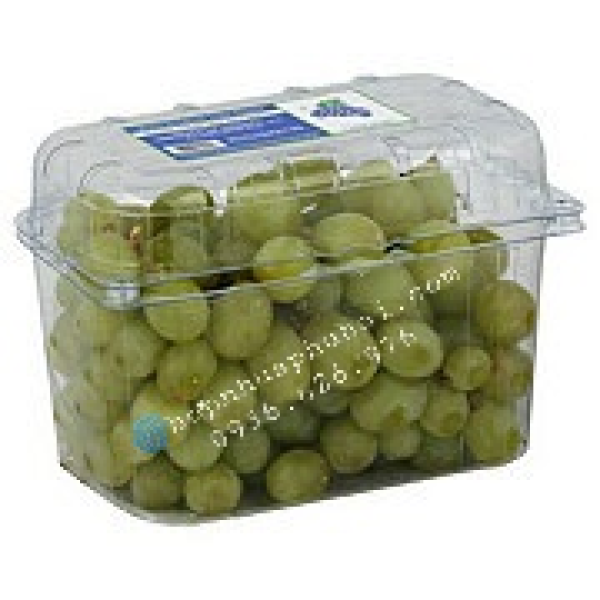 HỘP NHỰA ĐỰNG TRÁI CÂY 1KG P1000B